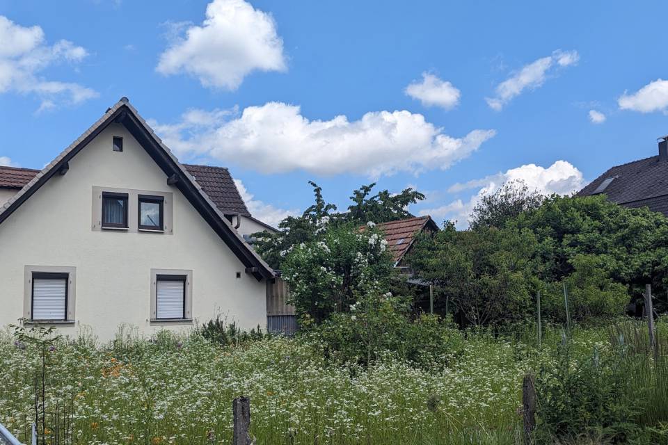 Projekt Achern, Kapellenstraße - Jolka Webseite