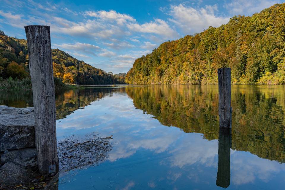 Blick auf den Rhein
