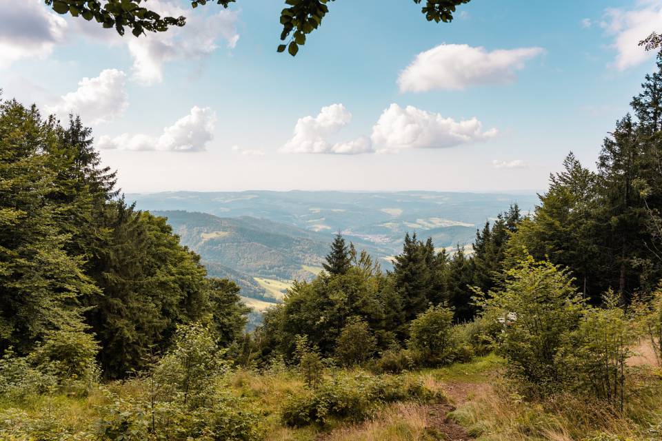 Panoramablick über den Schwarzwald