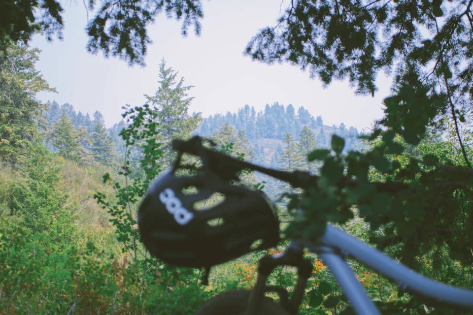 Mountainbike mit Blick in den Wald
